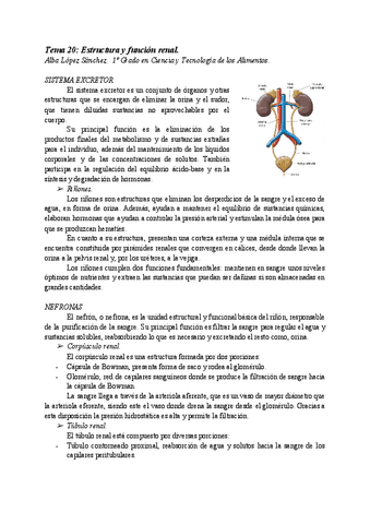 AT20-ESTRUCTURA-Y-FUNCION-RENAL.pdf