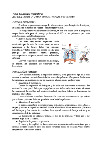 AT23-SISTEMA-RESPIRATORIO.pdf