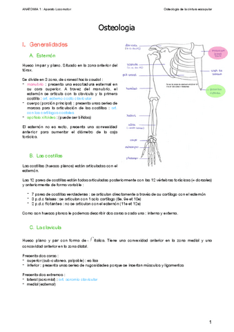 1.-Osteologia.pdf