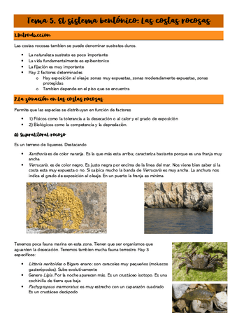 Tema-5.-Costas-rocosas.pdf