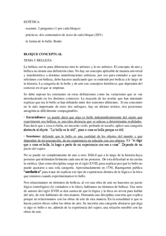 ESTETICA-CONCEPTUAL.pdf