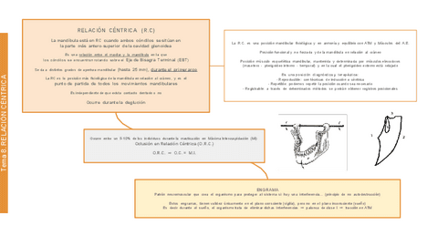 OCLUSION-Tema-08-RC.pdf