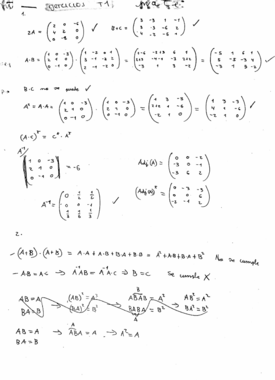 ejercicios tema 1.pdf