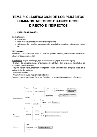 TEMA-2-CLASIFICACION-DE-LOS-PARASITOS-HUMANOS-1.pdf
