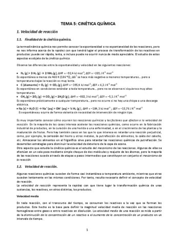 TEMA-5.pdf