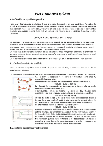TEMA-6.pdf