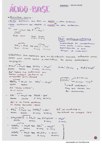 Acido-Base.pdf