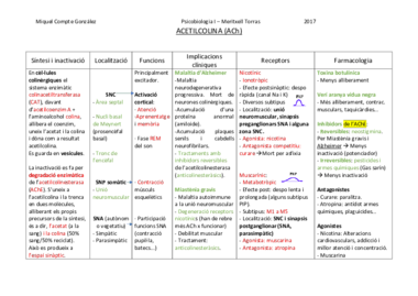Quadres neurotransmissors (tots) (corregit).pdf