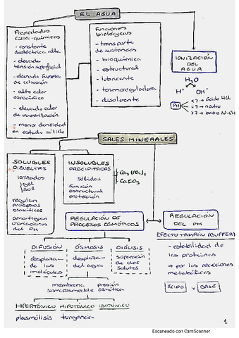 BLOQUE-1-apuntes.pdf