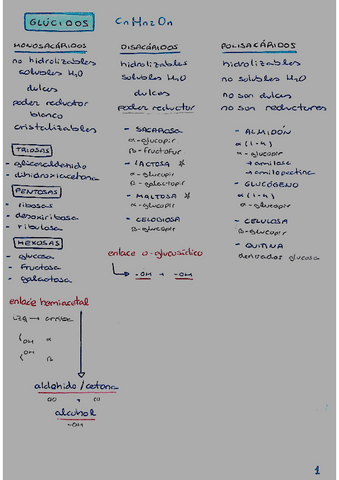 bloque-1-esquemillas.pdf