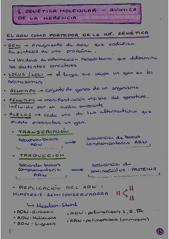 BLOQUE-3-apuntes.pdf