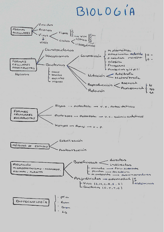 BLOQUE-4-y-5-esquemillas.pdf