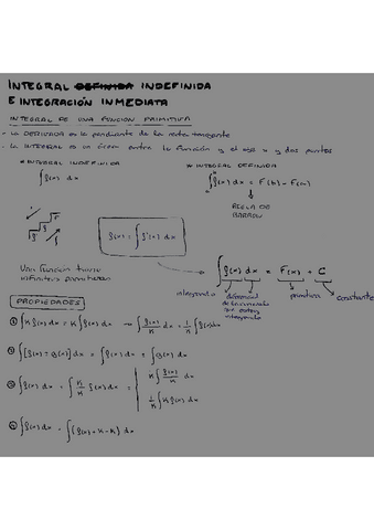 INTEGRACION.pdf