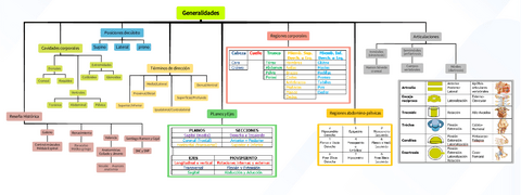 Esquema-Generalidades-Anatomia.pdf