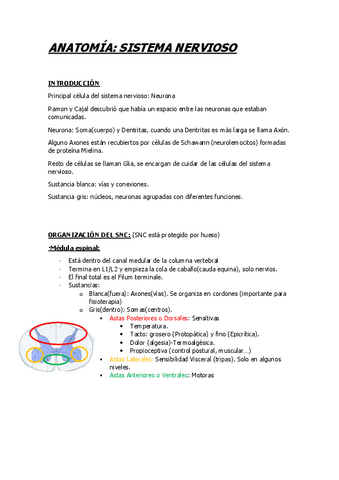 Tema-7Sist.-Nervioso.pdf