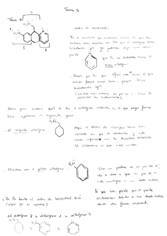 Tarea-Estructura-y-Reactividad-Acidez.pdf