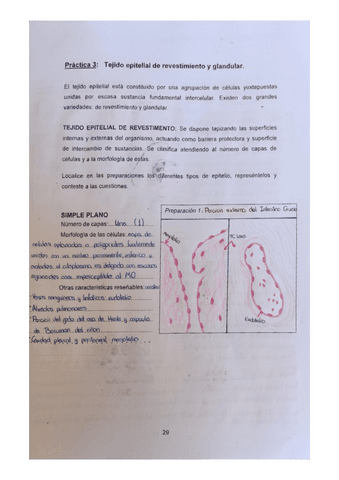 Practica-3-2oparcial.pdf