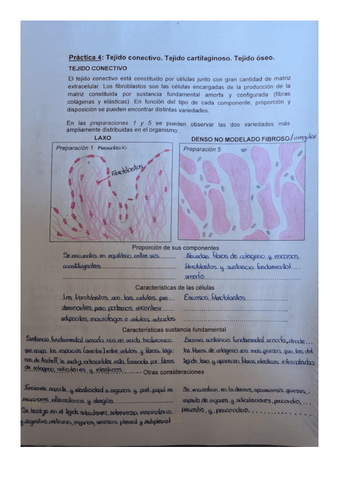 Practica-4-2oparcial.pdf