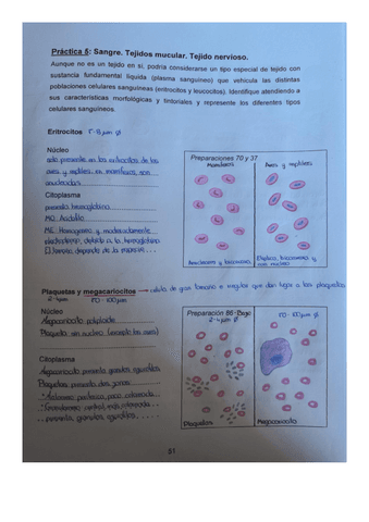Practica-5-2oparcial.pdf