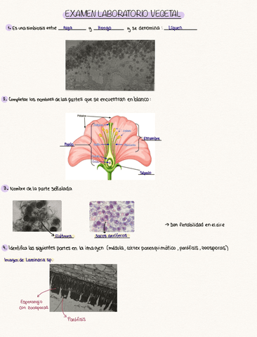 Examen-lab-Vegetal.pdf