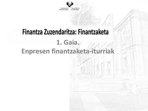 Enpresen-finantzaketa-iturriak.pdf
