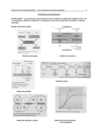 ctm-apuntes-y-ejercicios-tema-1-4.pdf