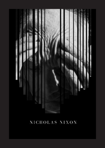 nicholas nixon.pdf