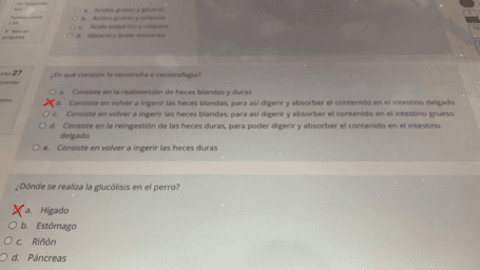 EXAMEN-PRIMER-PARCIAL-NOV-NUTRICION.pdf