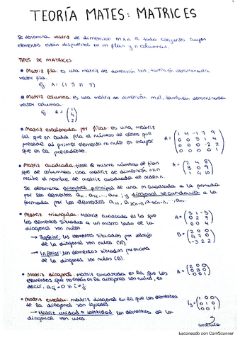 Teoria-matrices.pdf