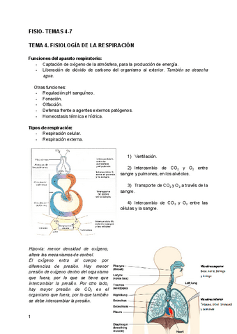 FISIO-TEMAS-4-7.pdf