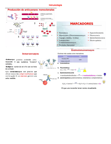 Apunte-Inmolnulogia.pdf