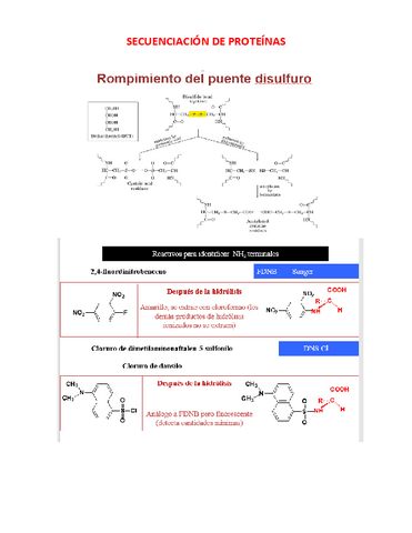 Apunte-SECUENCIACION-DE-PROTEINAS.pdf