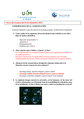 Segundo-parcial-diciembre.pdf
