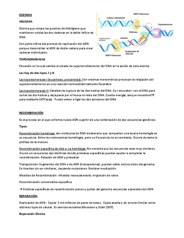 Apunte-presentaciones.pdf