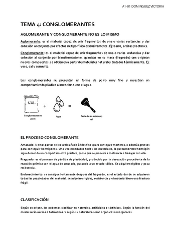 TEORIA-4-CONGLOMERANTES.pdf