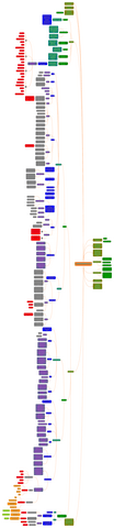 CARBOHIDRATOS.pdf