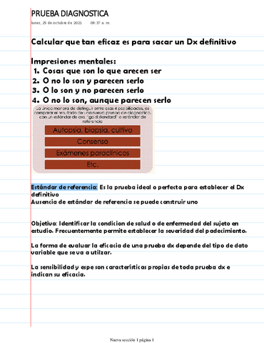 PRUEBA-DIAGNOSTICA.pdf