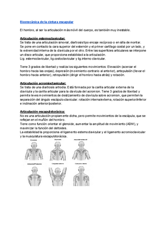 Biomecanica-apuntes.pdf