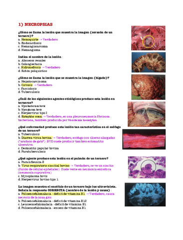 Examen Parcial 2°.pdf
