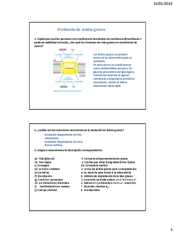 1.-Problemas-lipidos-resueltos-BQyBM.pdf
