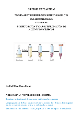 Informe-acidos-nucleicos.pdf