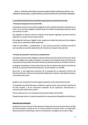 TEMA-6-PRINCIPIOS-RECTORES-DE-LAS-RELACIONES-ENTRE-EL-DERECHO-EUROPEO-Y-LOS-DERECHOS-NACIONALES-LA-EJECUCION-DE-LA-UNION-EUROPEA-EN-LOS-ESTADOS-MIEMBROS.pdf