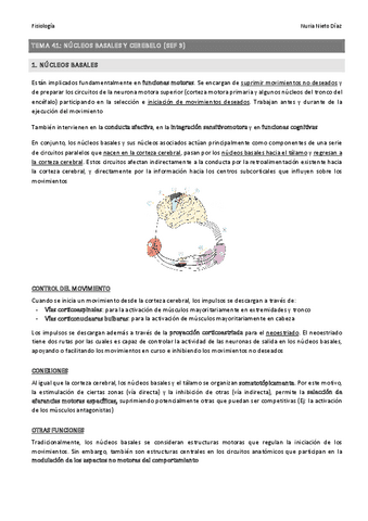 TEMA 41 - Núcleos basales y cerebelo (SEF 3).pdf