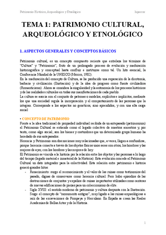 TEMA-1-PATRIMONIO-CULTURAL-ARQUEOLOGICO-Y-ETNOLOGICO.pdf