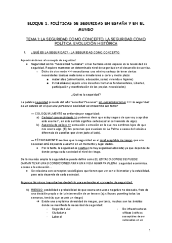 TEMA-1-politicas-de-seguridad.pdf