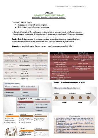 UD.1-ENTORNO-Y-EQUIPO-DE-TRABAJO.pdf