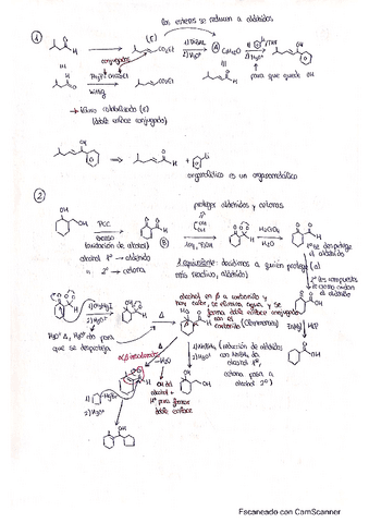 EJERCICIOS DE EXAMENES.pdf