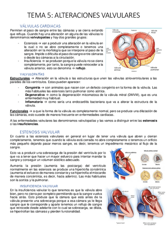 Tema-5-alteraciones-valvulares.pdf