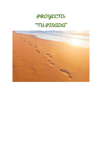 Proyecto-Tu-pisada.pdf