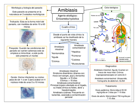 1.-Amebiasis-y-Giardiasis.pdf